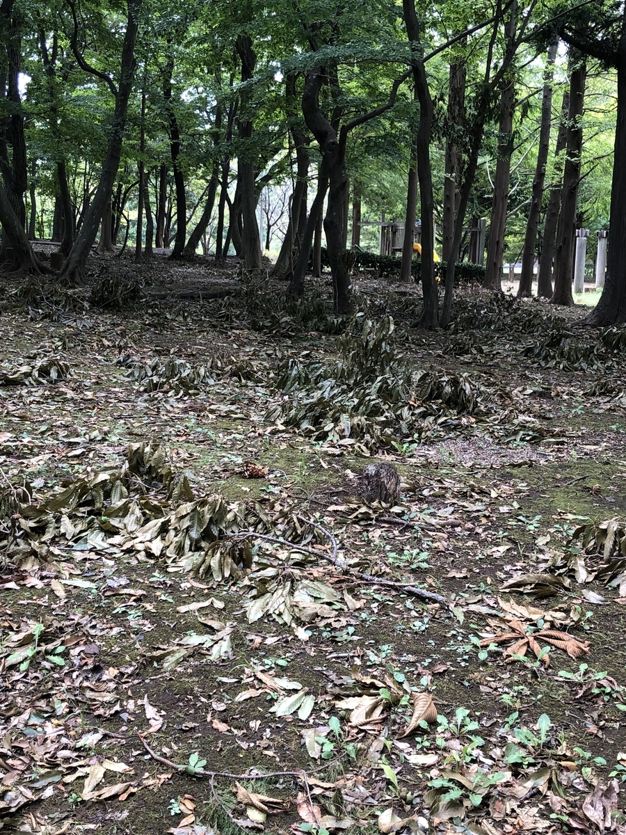 f:id:suminofv:20190915005759j:plain