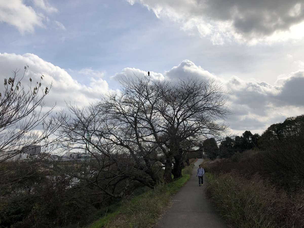 f:id:suminofv:20190915014422j:plain