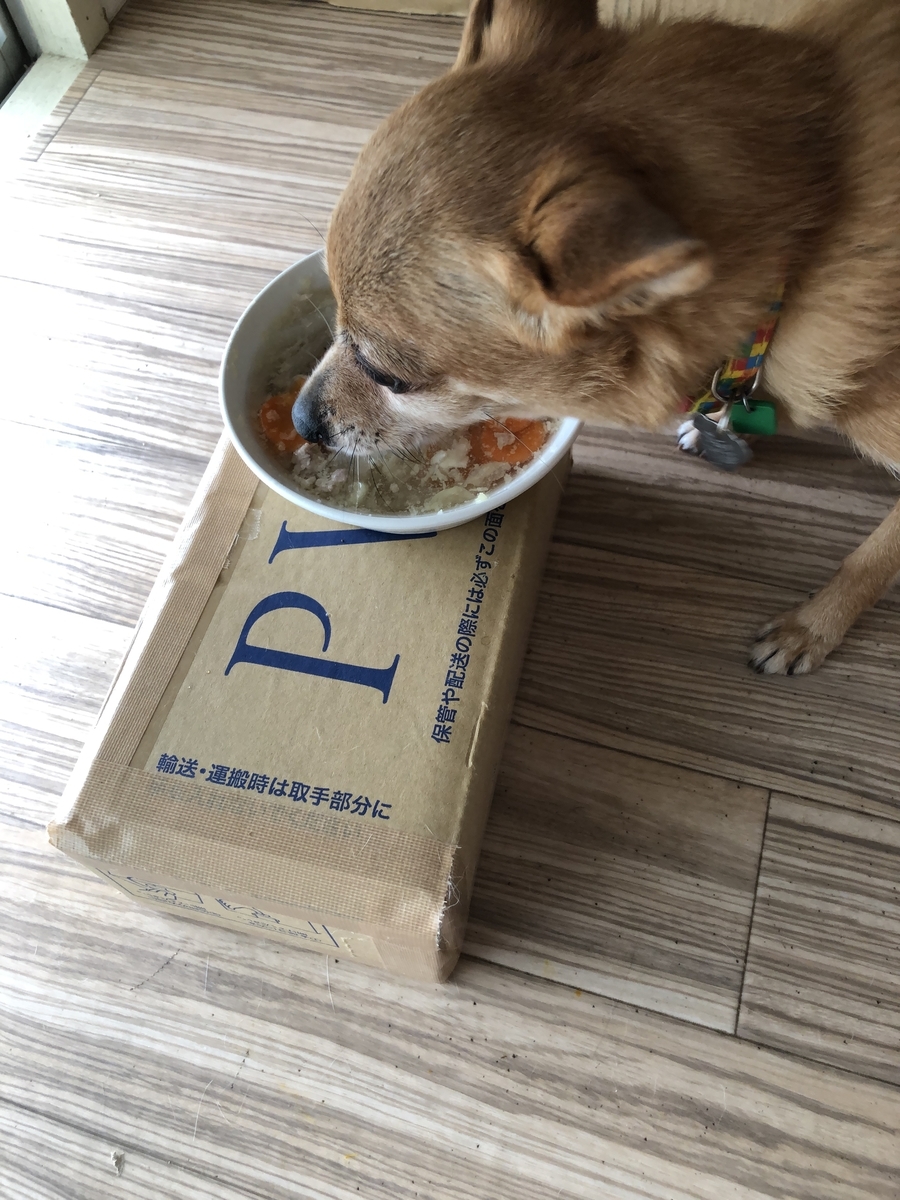 f:id:suminofv:20191005165402j:plain f:id:suminofv:20191005165402j:plain