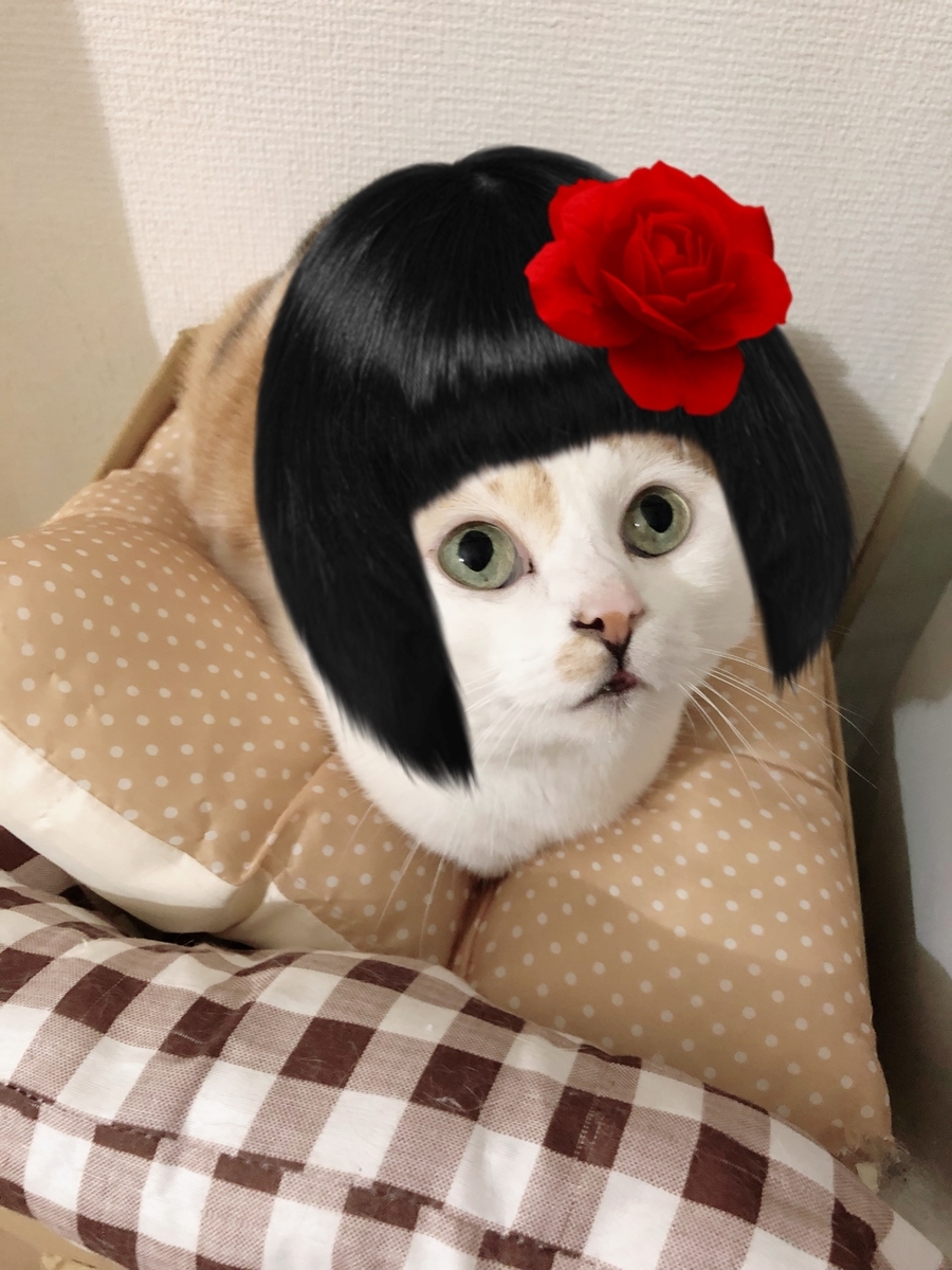 f:id:suminofv:20191130120933j:plain