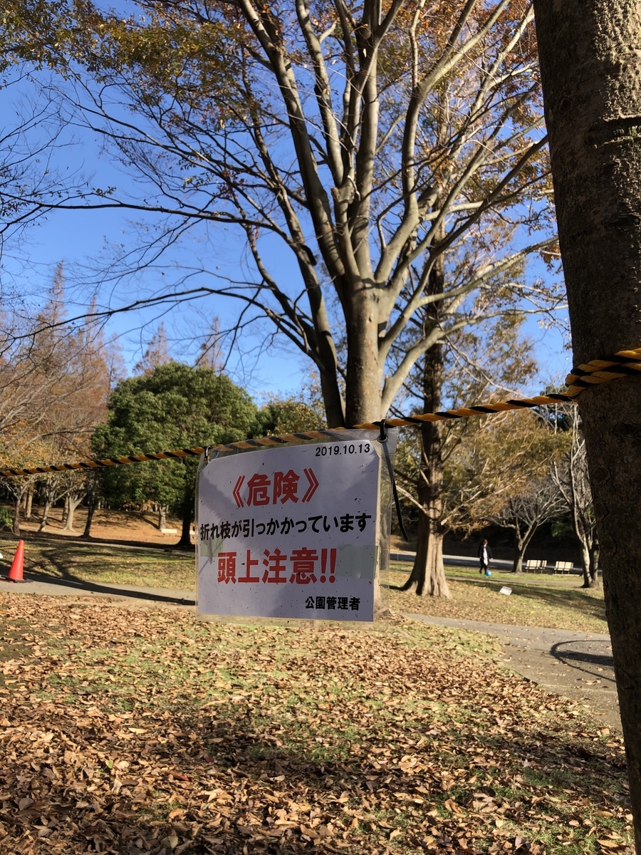 f:id:suminofv:20191130130127j:plain