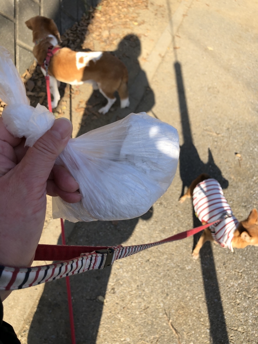 f:id:suminofv:20191130132211j:plain