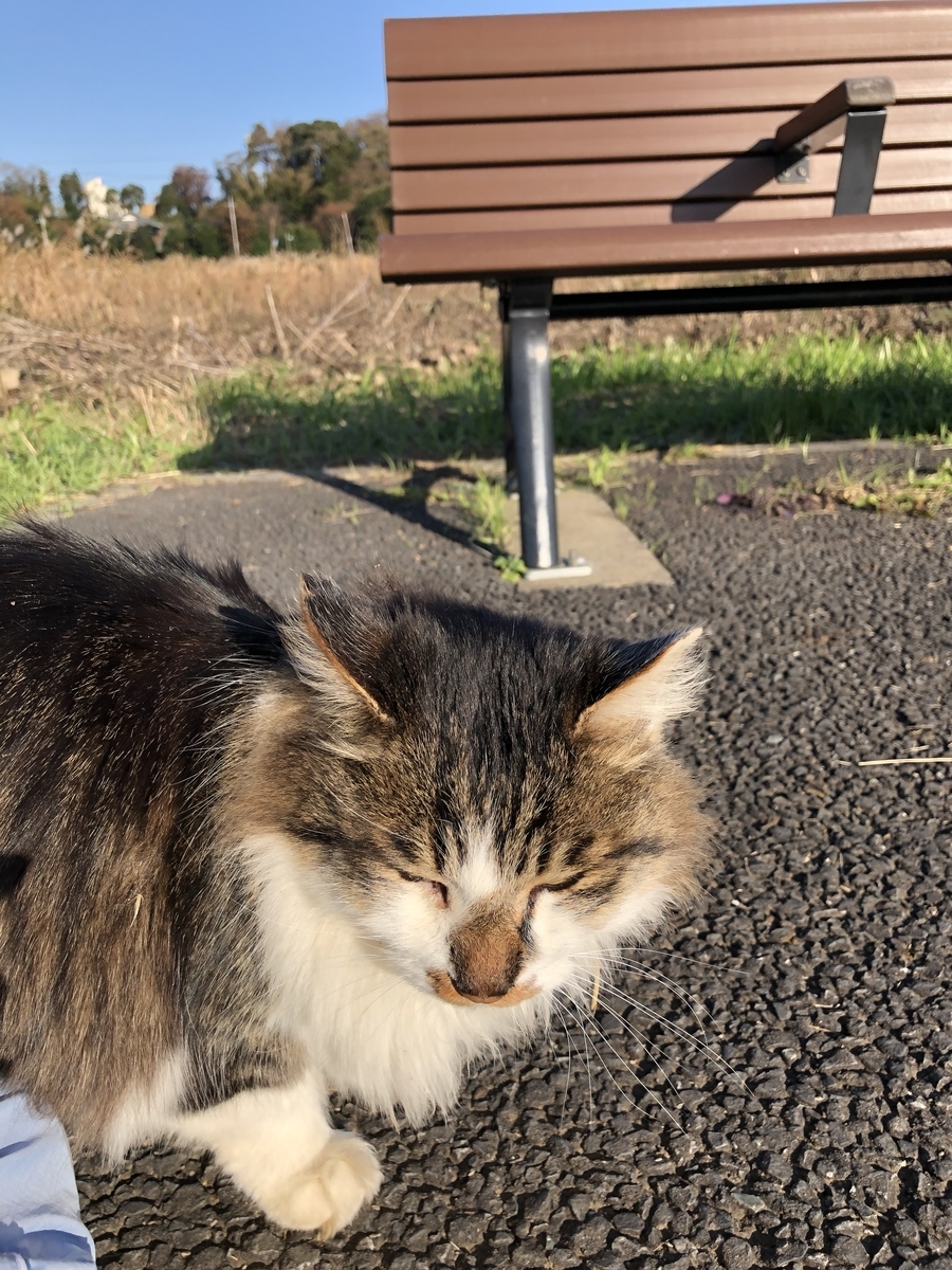 f:id:suminofv:20191130143203j:plain