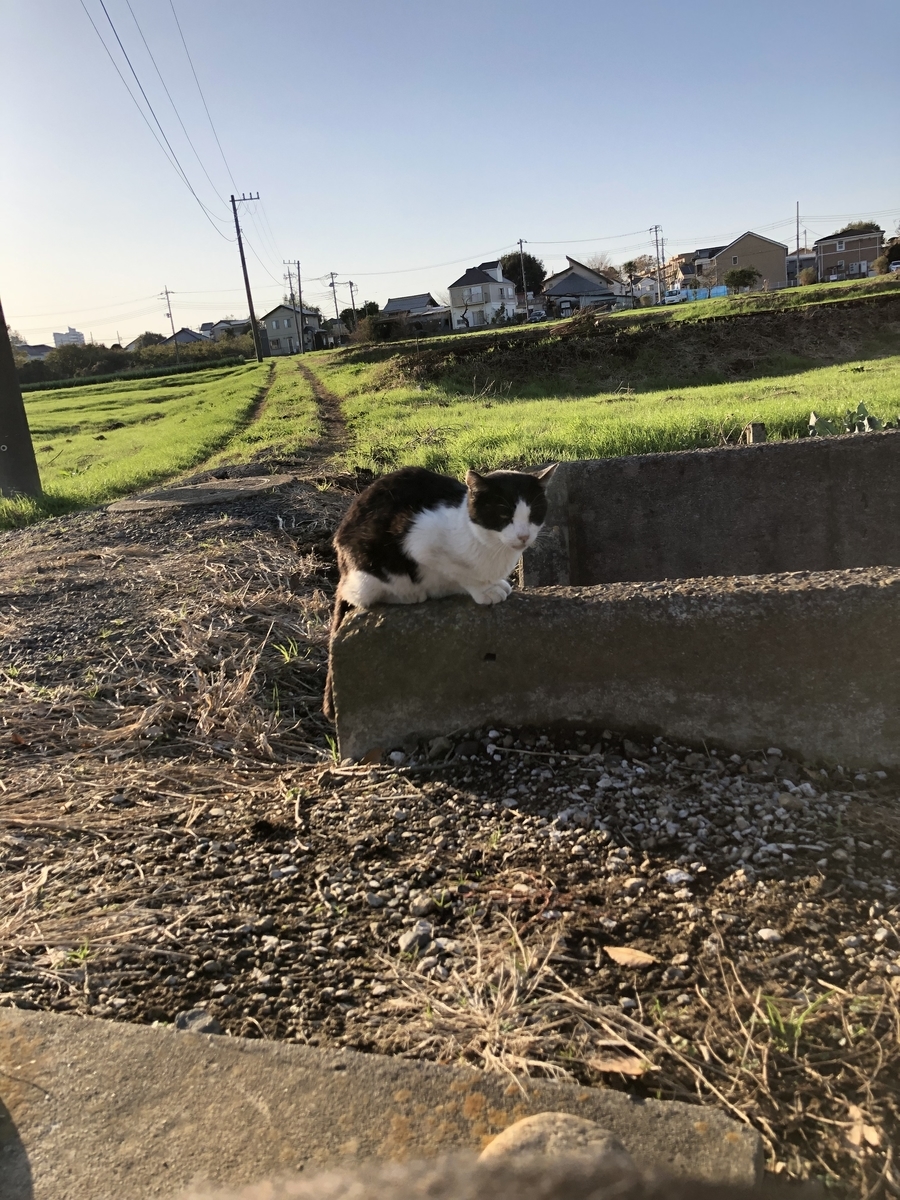f:id:suminofv:20191130150607j:plain