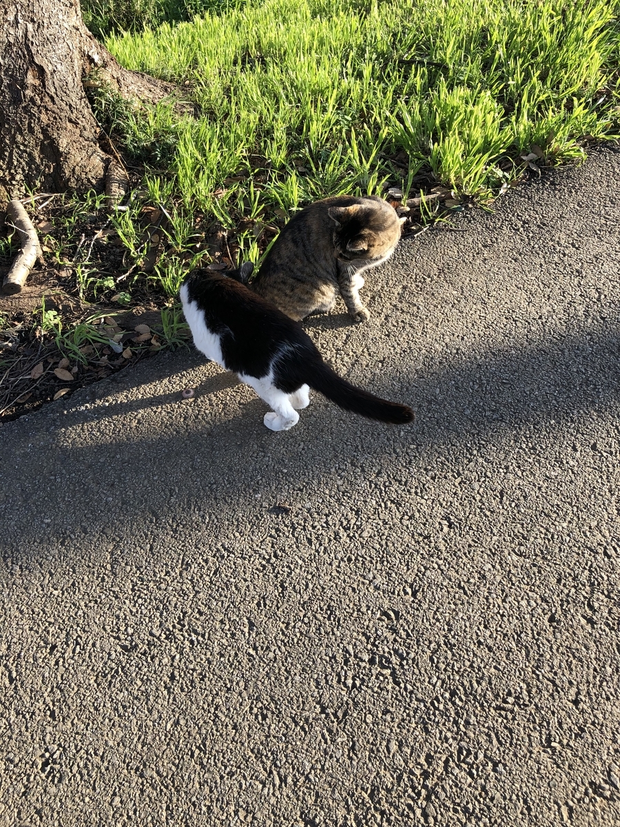 f:id:suminofv:20191201154559j:plain f:id:suminofv:20191201154559j:plain