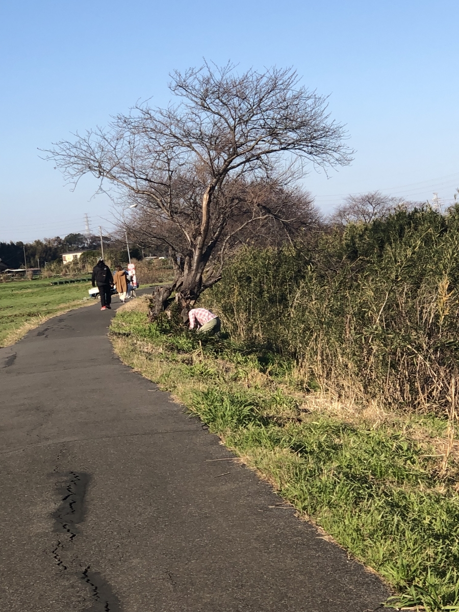 f:id:suminofv:20191208165930j:plain f:id:suminofv:20191208165930j:plain