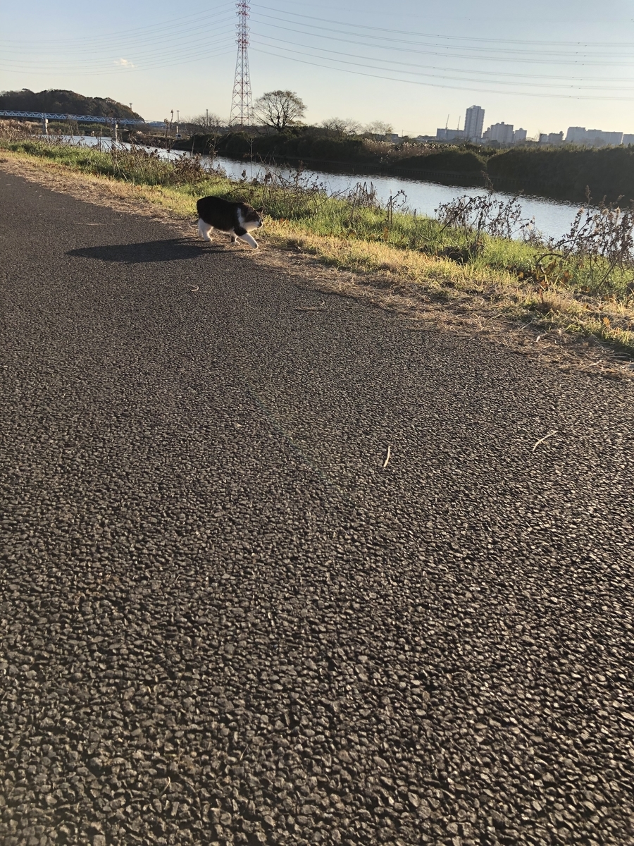 f:id:suminofv:20191208173958j:plain f:id:suminofv:20191208173958j:plain