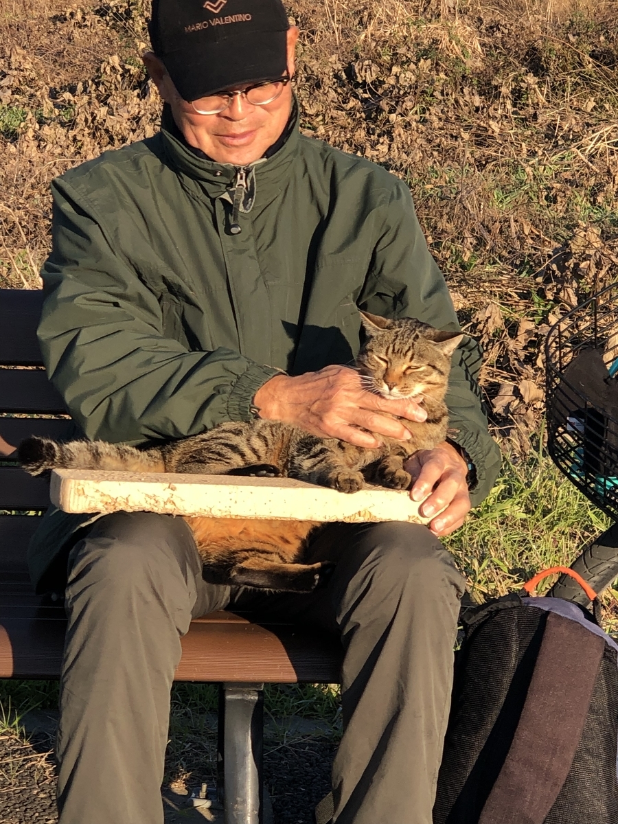 f:id:suminofv:20191208175206j:plain f:id:suminofv:20191208175206j:plain