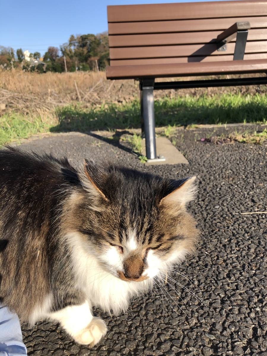 f:id:suminofv:20191208175424j:plain f:id:suminofv:20191208175424j:plain