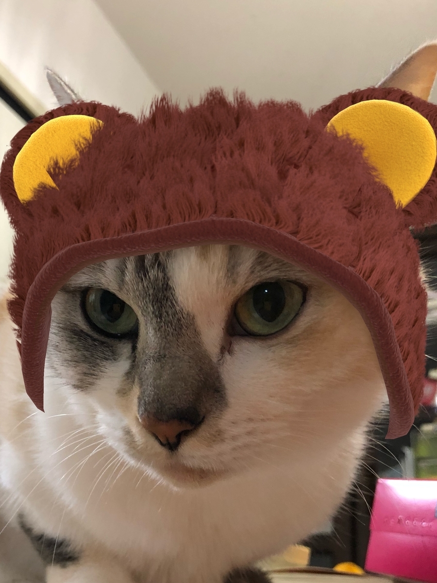 f:id:suminofv:20191208183953j:plain f:id:suminofv:20191208183953j:plain