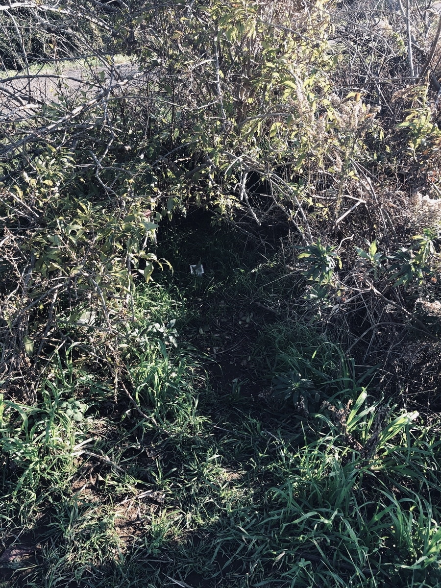f:id:suminofv:20191214141730j:plain