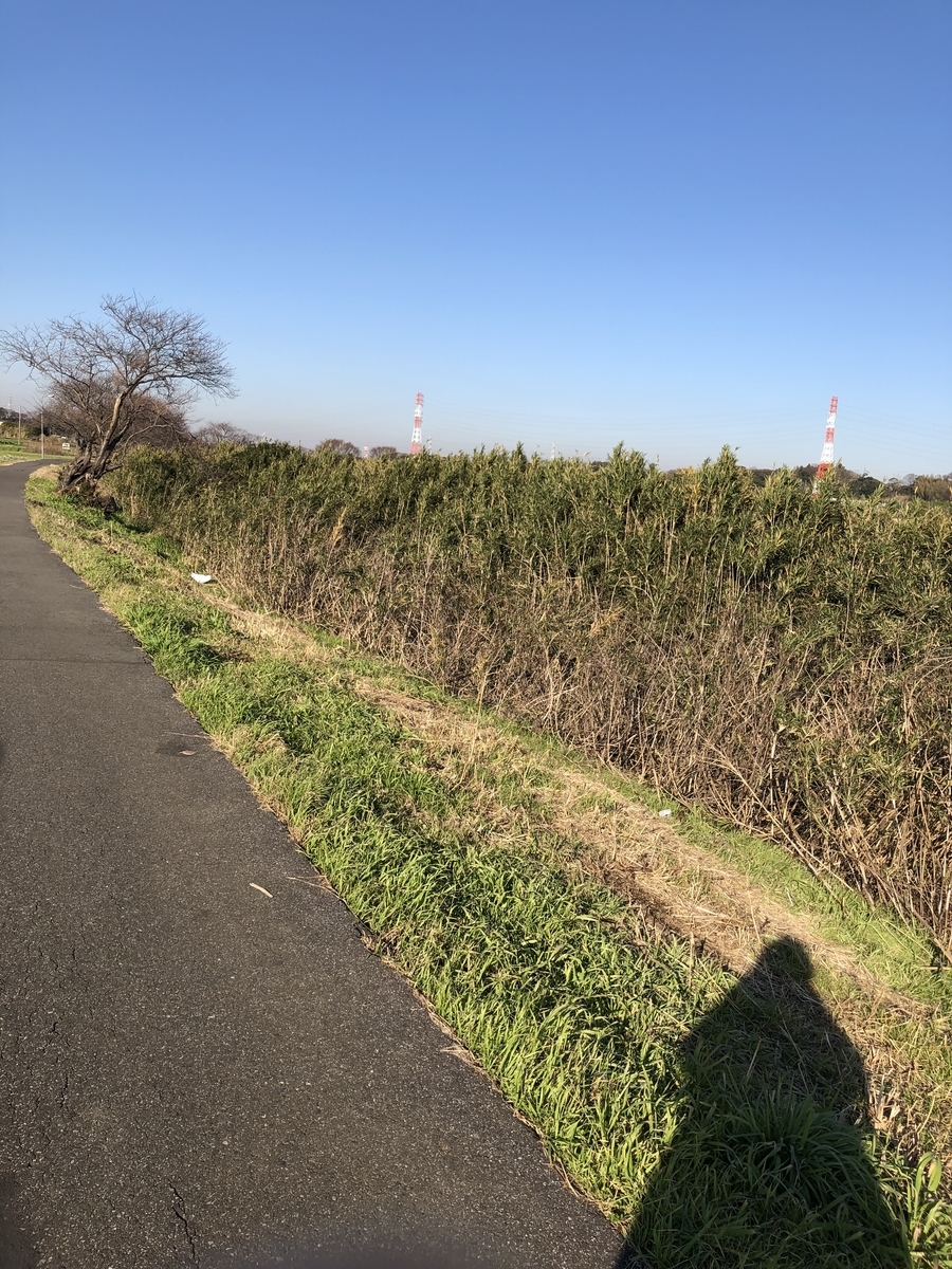 f:id:suminofv:20191214183059j:plain