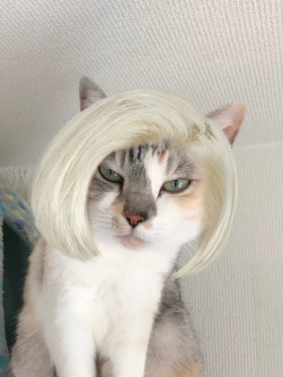 f:id:suminofv:20191214191439j:plain