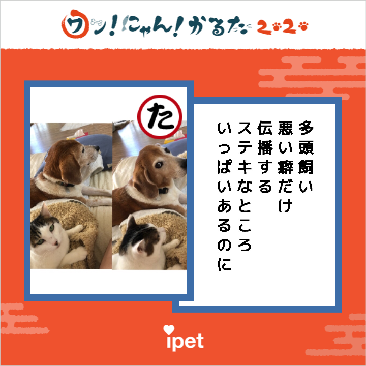f:id:suminofv:20191216232030p:plain