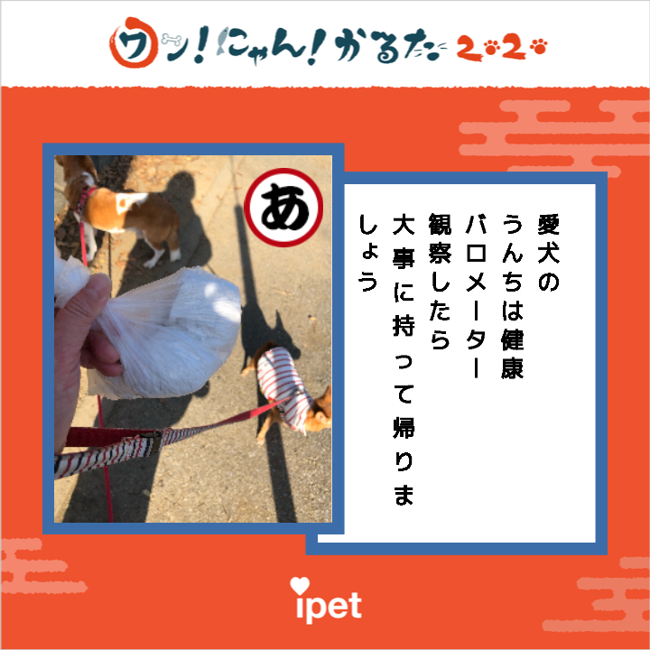 f:id:suminofv:20191216232122p:plain