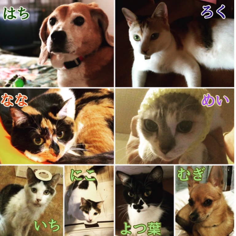f:id:suminofv:20191224222933j:plain f:id:suminofv:20191224222933j:plain