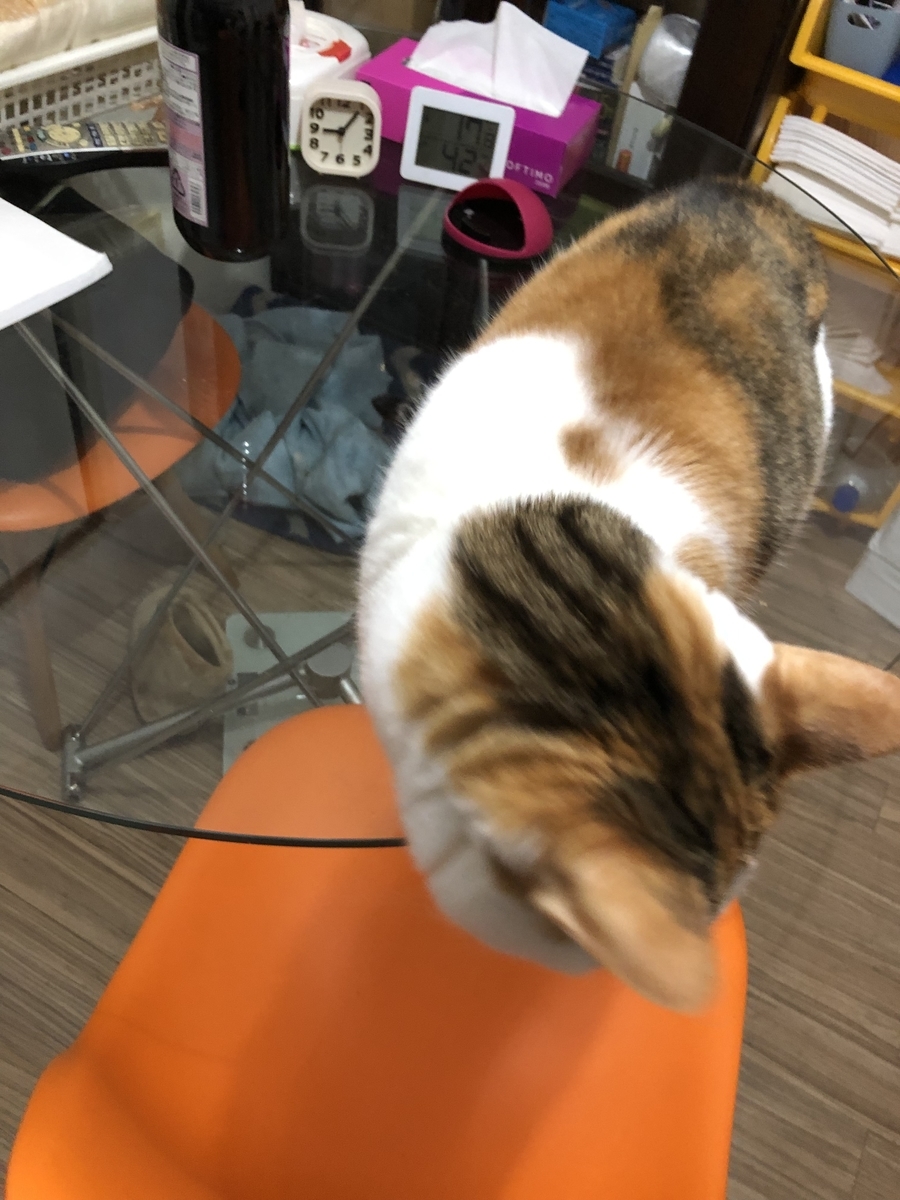 f:id:suminofv:20191224230535j:plain f:id:suminofv:20191224230535j:plain