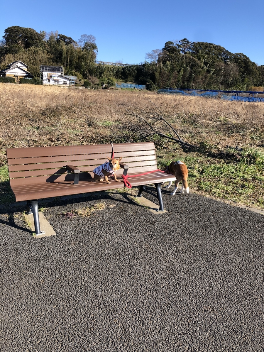 f:id:suminofv:20191228183956j:plain
