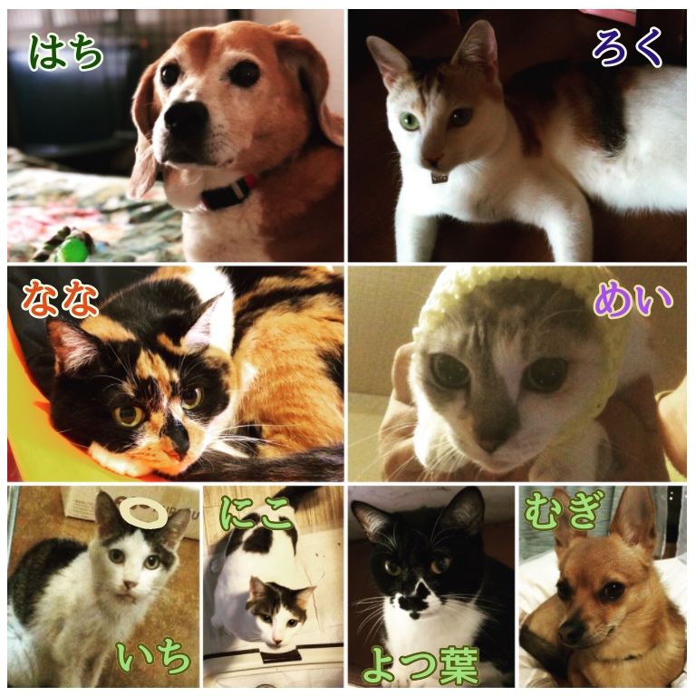 f:id:suminofv:20191230112041j:plain