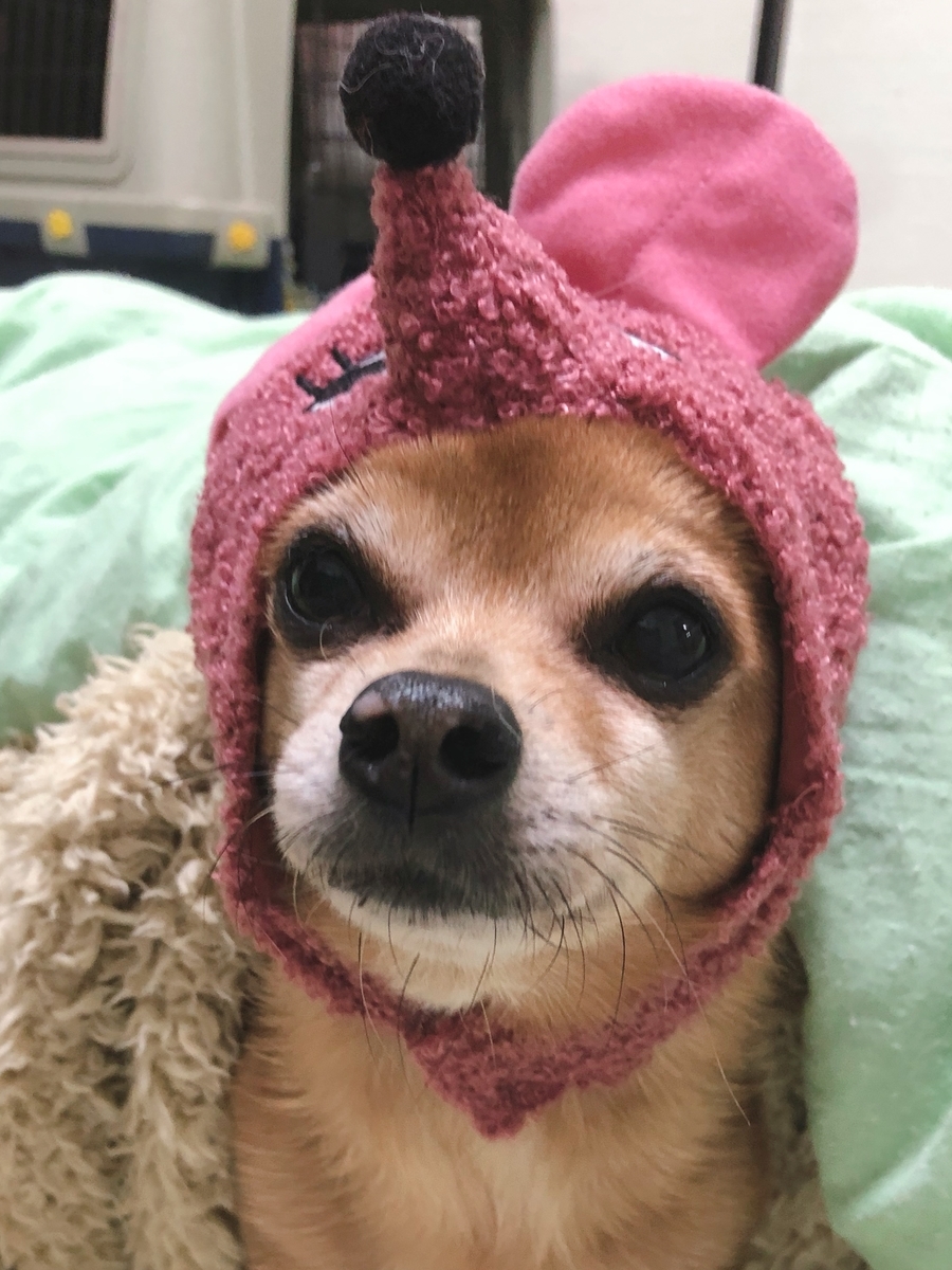 f:id:suminofv:20191230224528j:plain f:id:suminofv:20191230224528j:plain