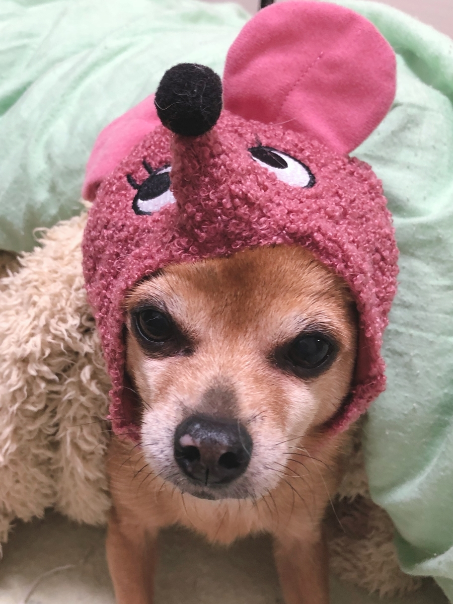 f:id:suminofv:20191230224810j:plain f:id:suminofv:20191230224810j:plain