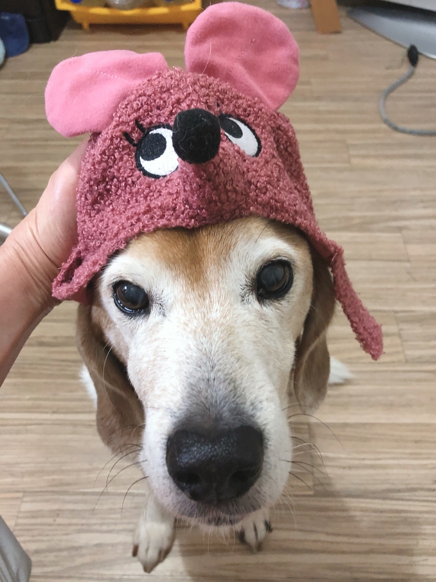 f:id:suminofv:20191230225313j:plain f:id:suminofv:20191230225313j:plain