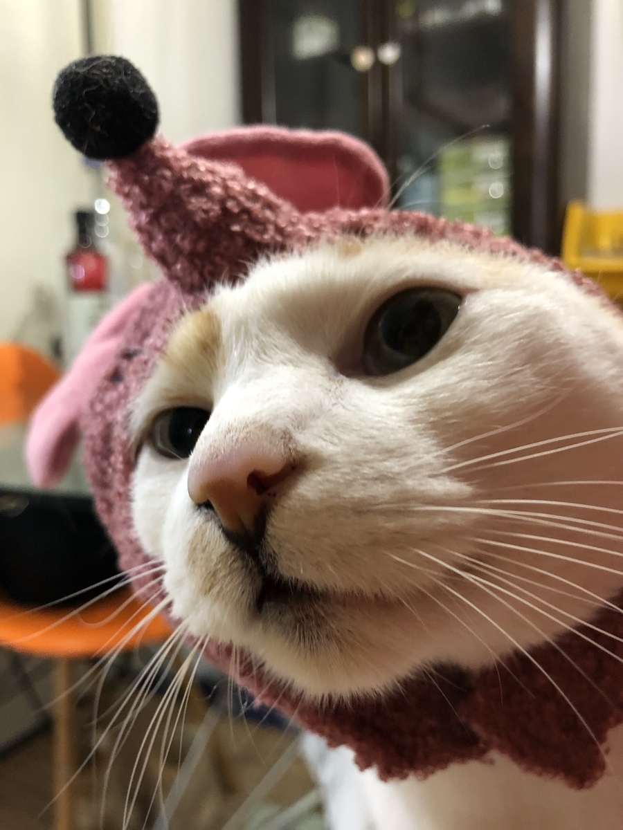 f:id:suminofv:20191230231424j:plain f:id:suminofv:20191230231424j:plain