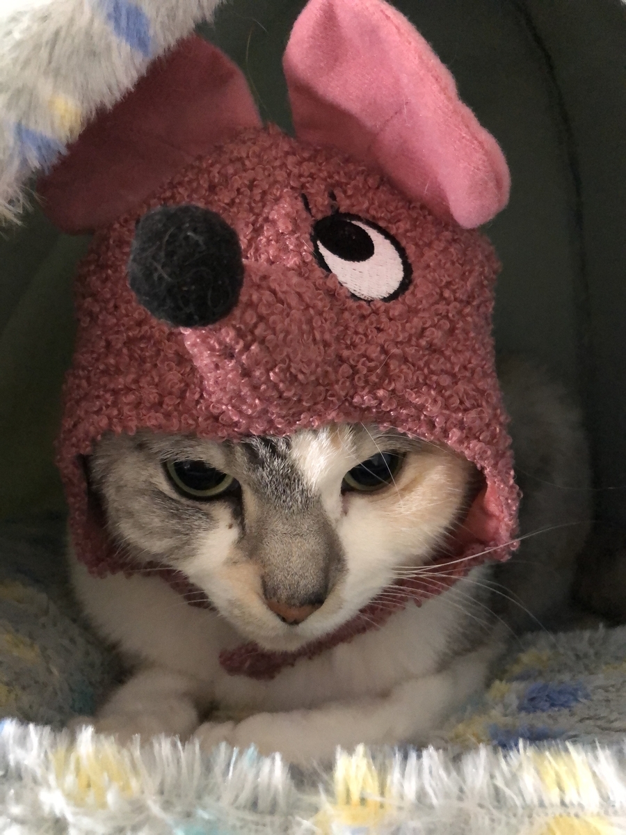 f:id:suminofv:20191230233004j:plain f:id:suminofv:20191230233004j:plain