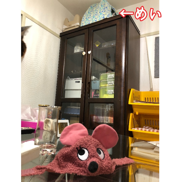 f:id:suminofv:20191230234128j:plain f:id:suminofv:20191230234128j:plain