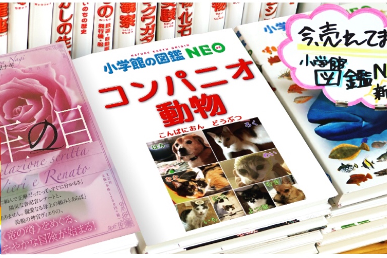 f:id:suminofv:20200112182003j:plain f:id:suminofv:20200112182003j:plain