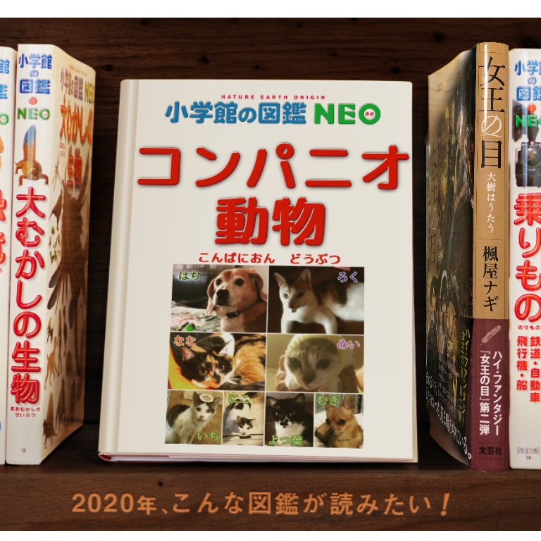 f:id:suminofv:20200112182132j:plain f:id:suminofv:20200112182132j:plain