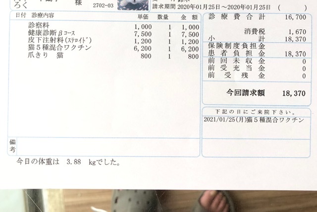 f:id:suminofv:20200126130010j:plain f:id:suminofv:20200126130010j:plain