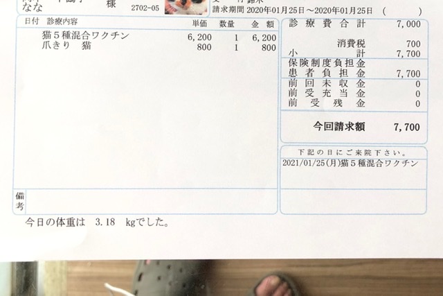 f:id:suminofv:20200126130142j:plain f:id:suminofv:20200126130142j:plain