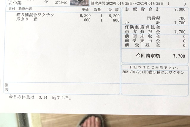 f:id:suminofv:20200126130329j:plain f:id:suminofv:20200126130329j:plain