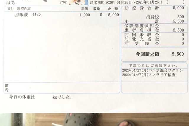 f:id:suminofv:20200126130422j:plain f:id:suminofv:20200126130422j:plain