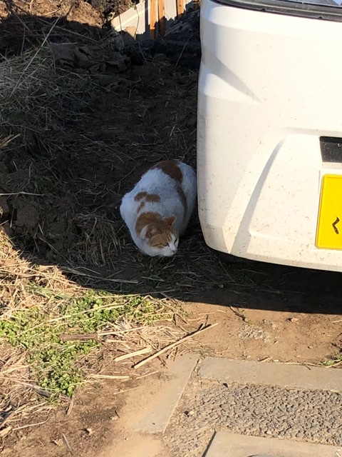 f:id:suminofv:20200202183608j:plain f:id:suminofv:20200202183608j:plain