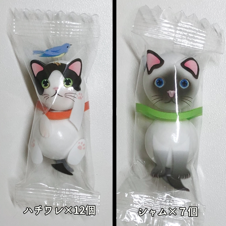 f:id:suminofv:20200215221158j:plain f:id:suminofv:20200215221158j:plain
