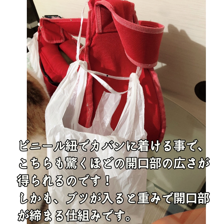 f:id:suminofv:20200216133149j:plain f:id:suminofv:20200216133149j:plain