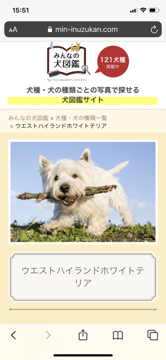 f:id:suminofv:20200223155346p:plain f:id:suminofv:20200223155346p:plain