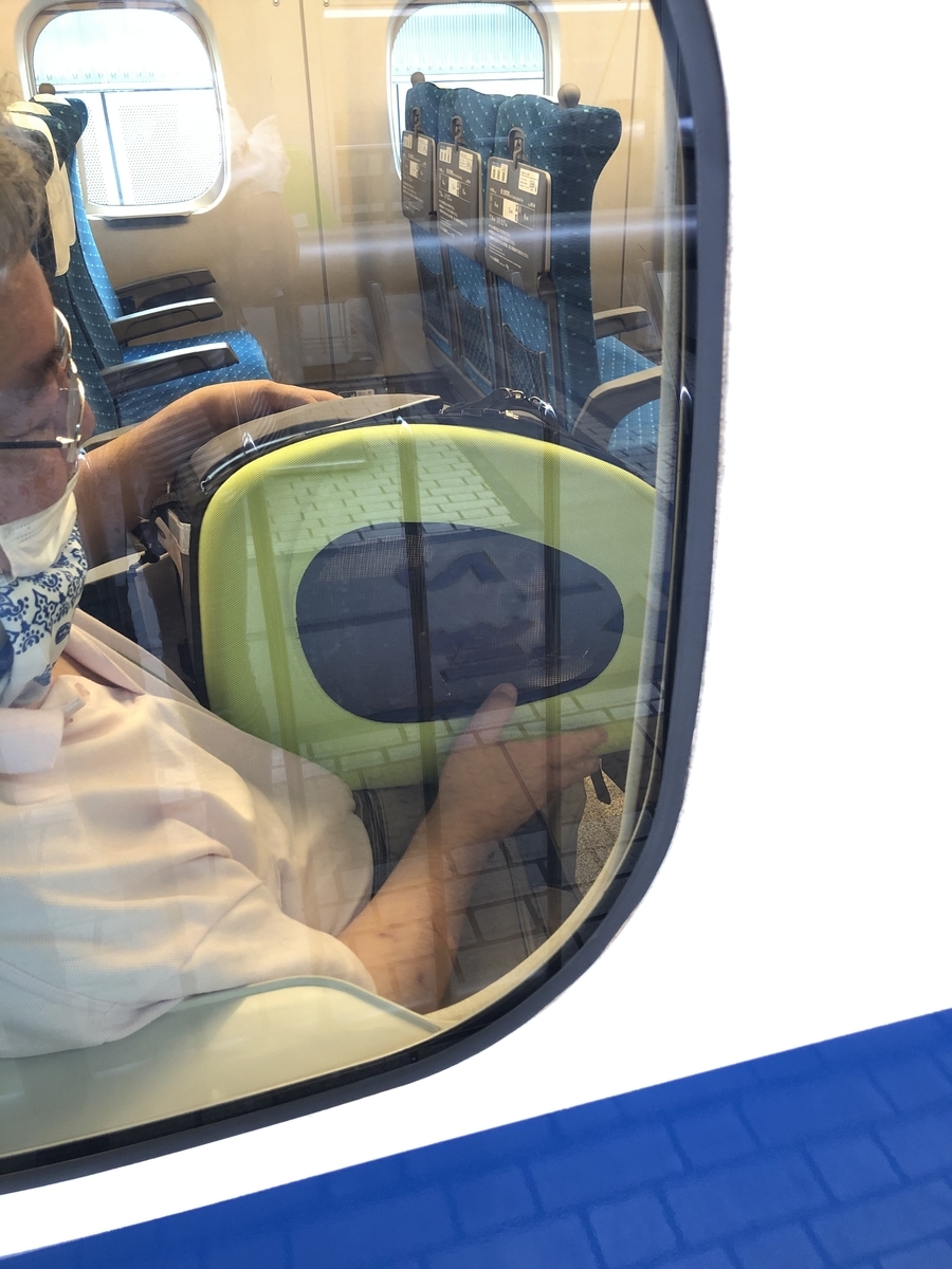 f:id:suminofv:20200920201403j:plain