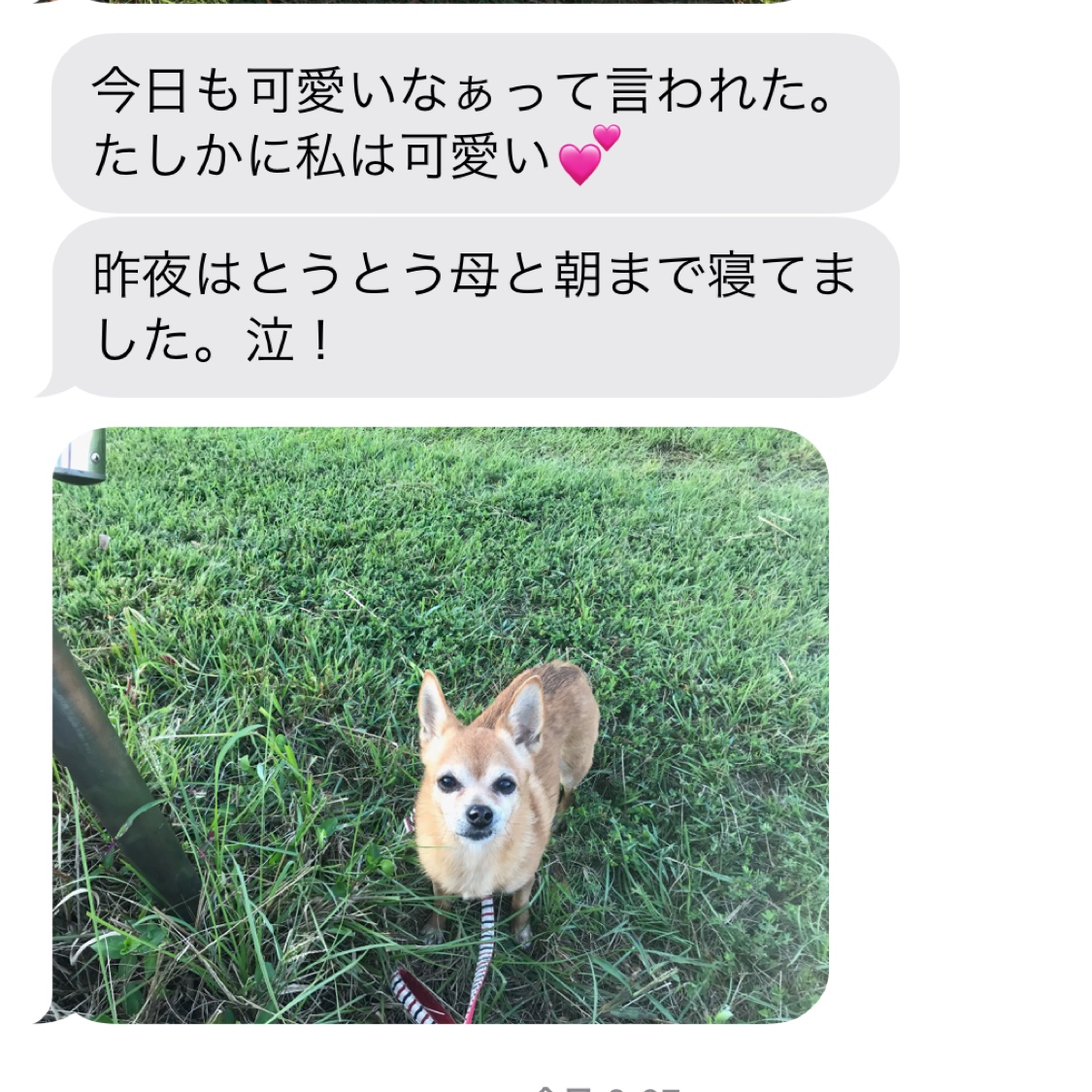f:id:suminofv:20200922101413j:plain f:id:suminofv:20200922101413j:plain