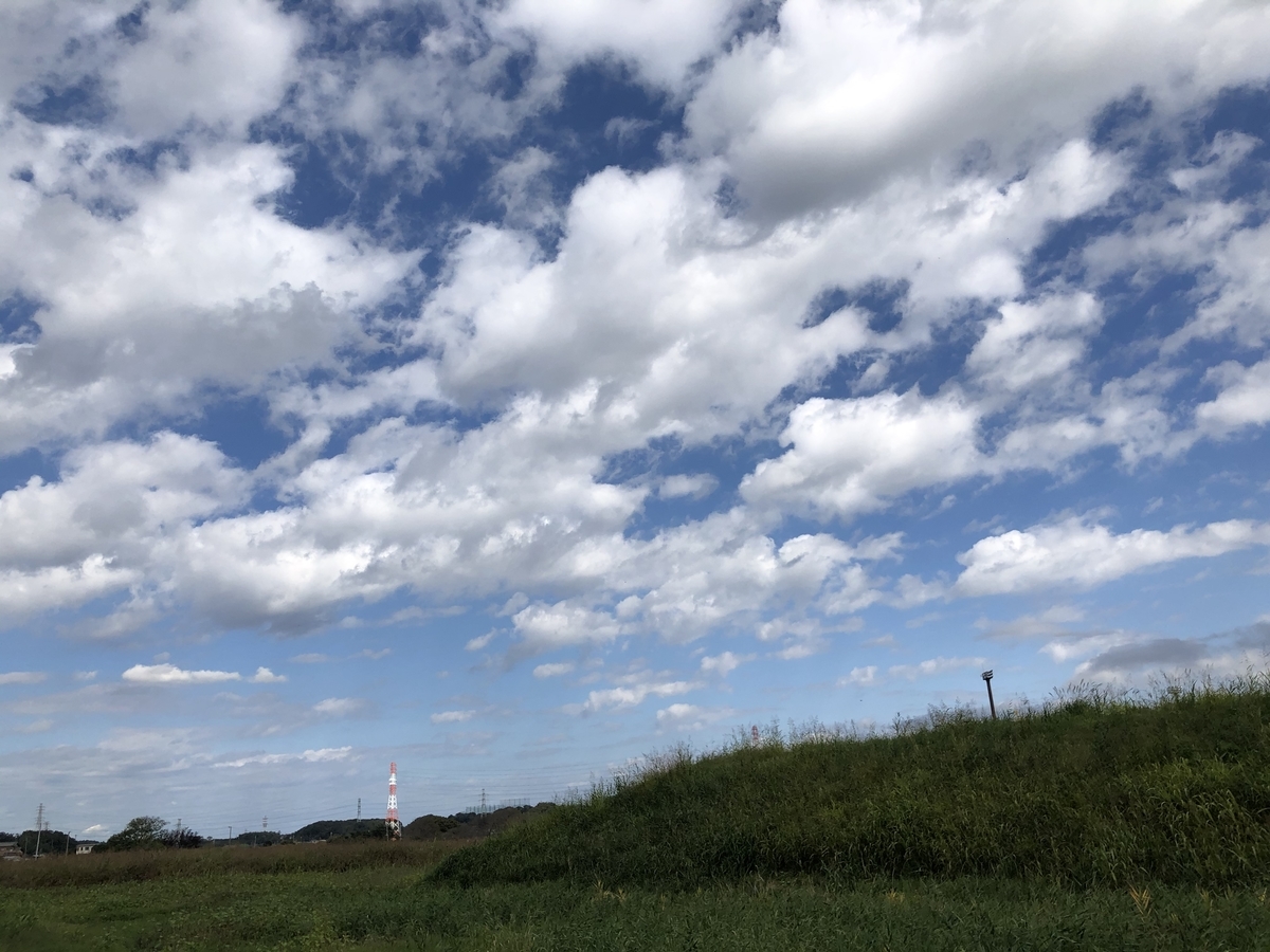 f:id:suminofv:20201025173140j:plain f:id:suminofv:20201025173140j:plain