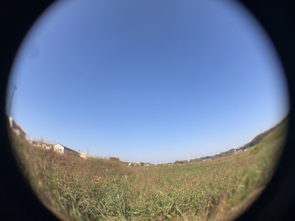 f:id:suminofv:20201114191424j:plain