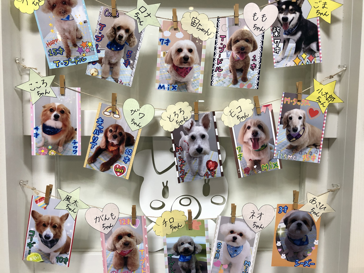 f:id:suminofv:20201226200702j:plain