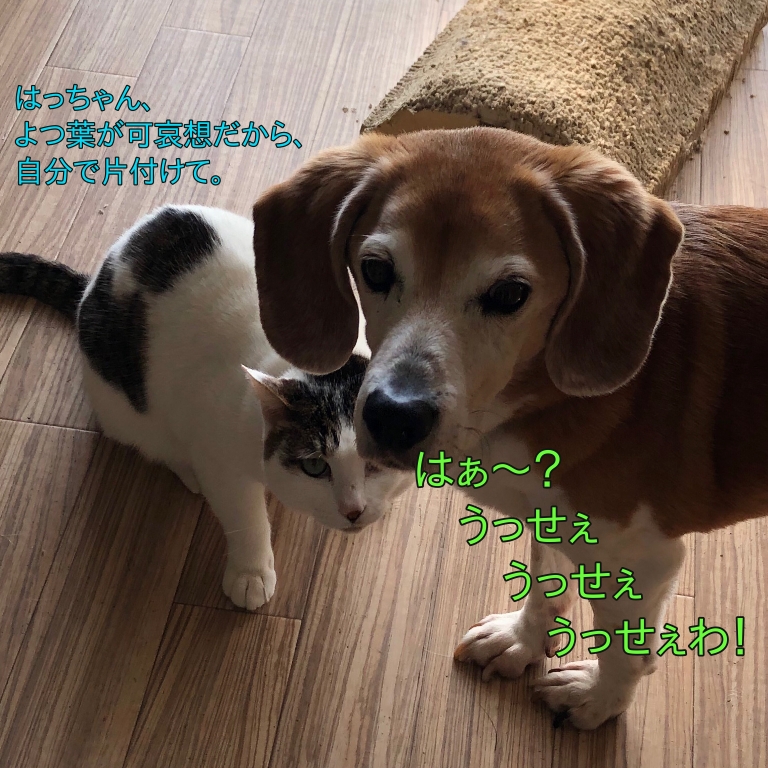 f:id:suminofv:20210401010918j:plain