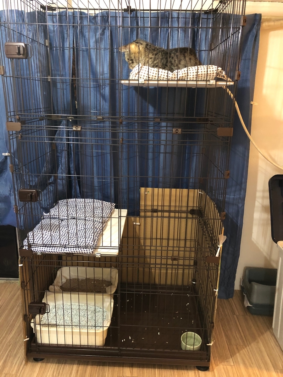 f:id:suminofv:20210516190135j:plain