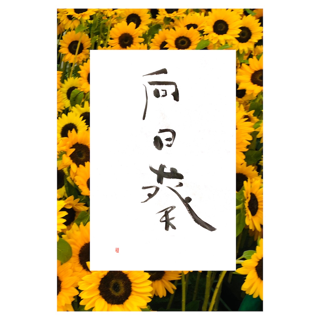 f:id:suminoka:20220813141936j:image