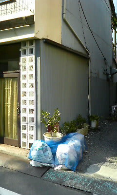 Ariake_side