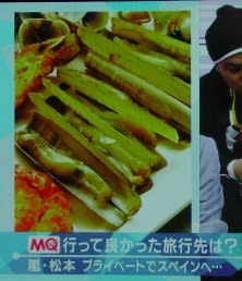 Imga0004