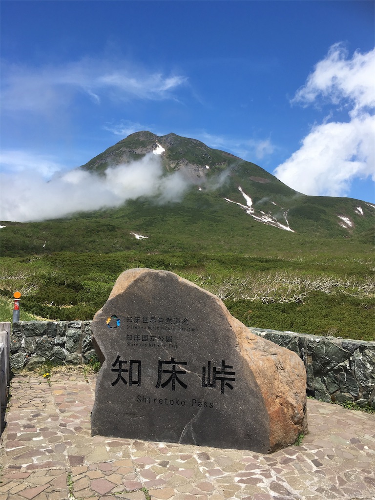f:id:sumirekuma:20190702201741j:image f:id:sumirekuma:20190702201741j:image